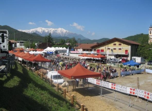 Festa di San Pio