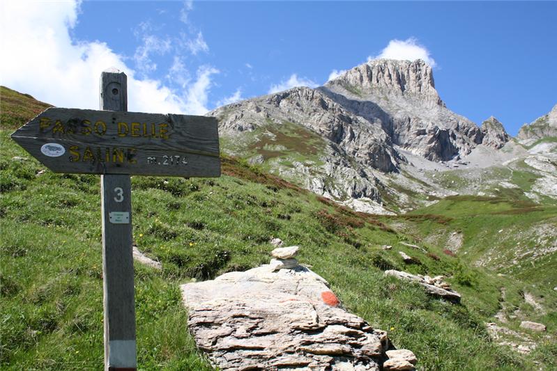 Patrimonio naturalistico