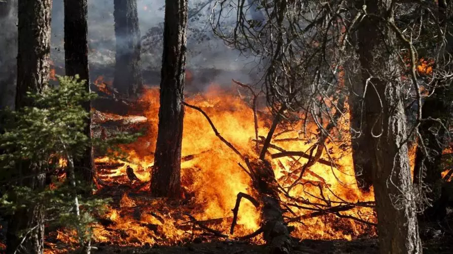 Massima pericolosità incendi boschivi