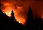 Revoca pericolosità incendi boschivi